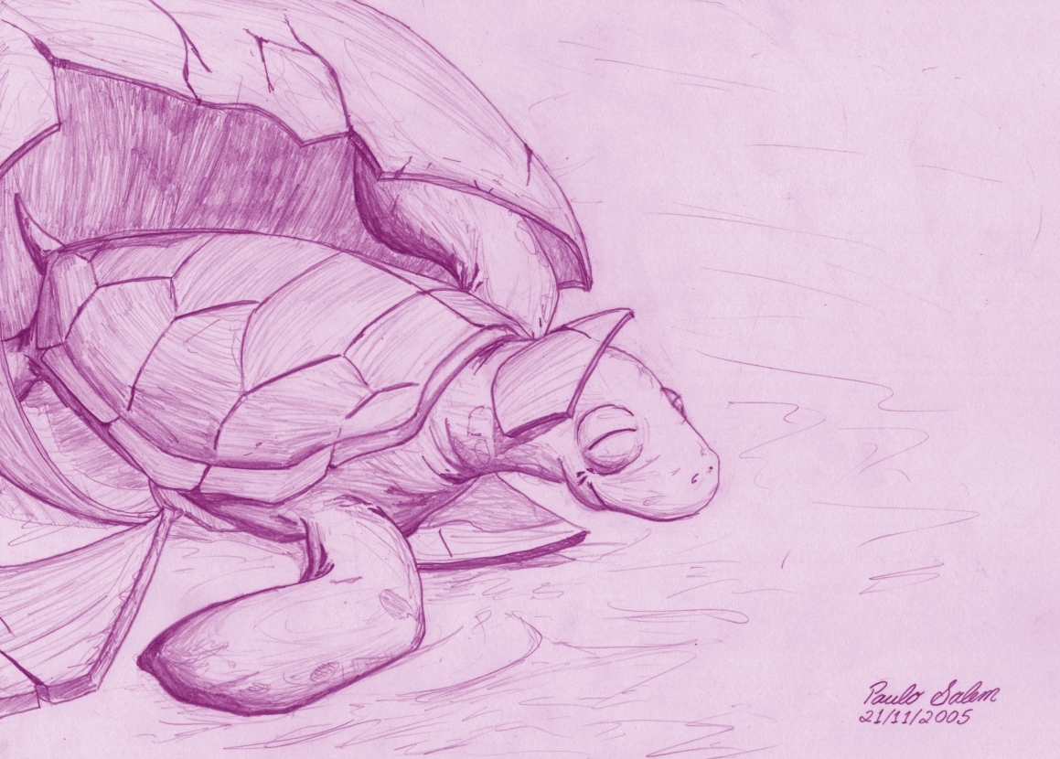 Pencil drawing of a giant turtle with cracked, wing-like shell fragments.